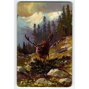 Vintage Muller Artist Signed Postcard Elk in Mountain Forest Scene
